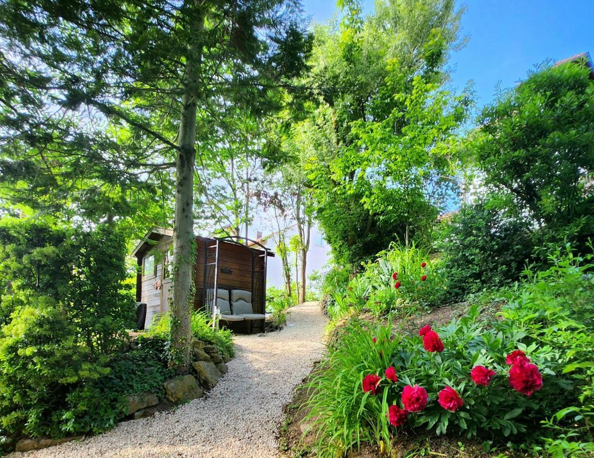 Gardenview Apartments & Suites Bei Bad Kissingen Nüdlingen Zewnętrze zdjęcie
